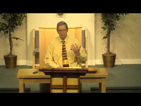 #30 Luke 7: 1-18