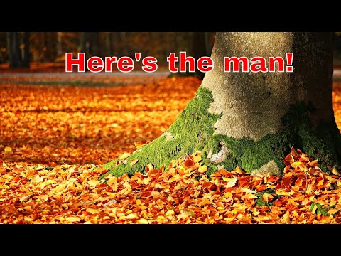 Here's the man! September 10 John 19: 1-5