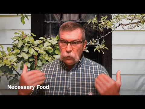 The yoke - Lamentations 3:27