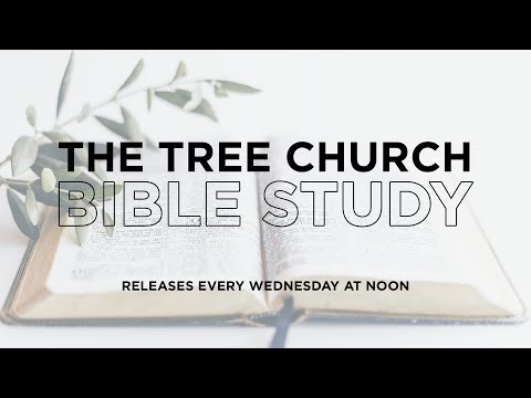 James 2: 1-26