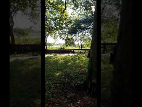 Psalm 36:9(For with You is the fountain of life; in Your light we see light)