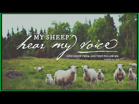 “The Credentials of Christ” John 10:22-30