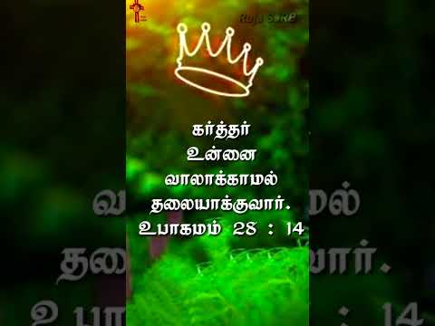 Today's Promise Verse ???? Deuteronomy 28:14 ???? Daily Bible Verse