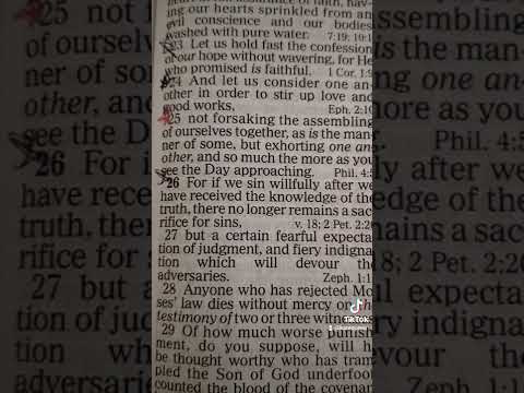 Start your day with "Good Morning Scripture!" ???? ☕️ [Psalm 133, Hebrew 10:25, Leviticus 26:8]