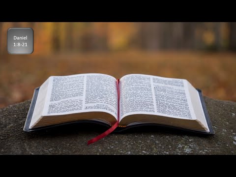 Daniel 1:8-21: Integrity is Established