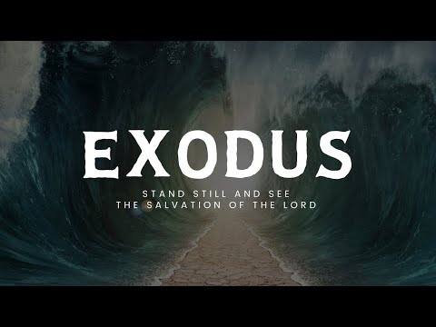 Exodus 2:11-3:22