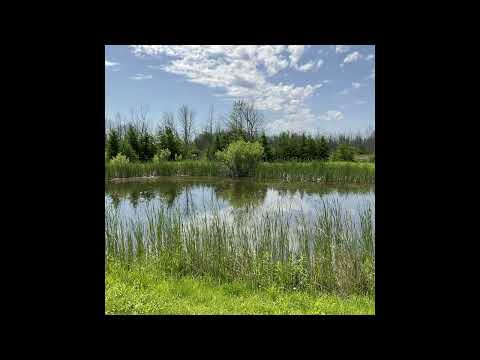 Coffee Break (5 Minutes with God) Psalm 106:11-14