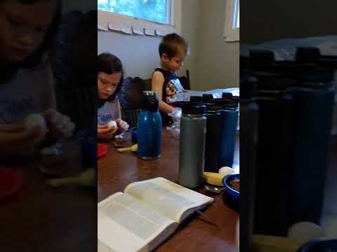 Luke 4:42-44 Bible Reading