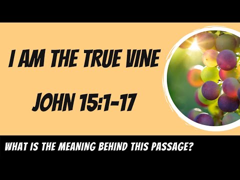I Am the True Vine (John 15:1-17) Explained