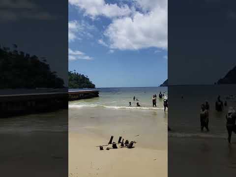 Psalm 90:6 In the morning it flourisheth, and groweth up; in the evening it is cut down, and....