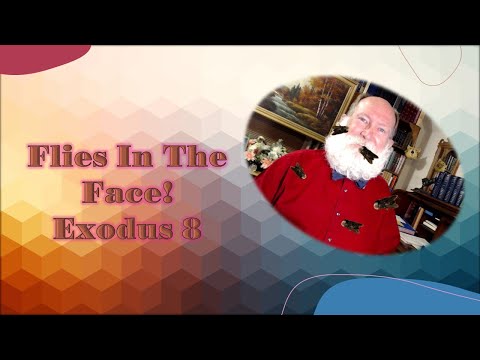 Flies in the Face! Exodus 8:20-32