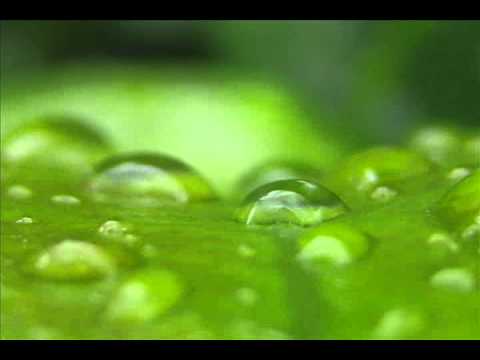 1/18/12 - A New and Living Way - Hebrews 10:19-22