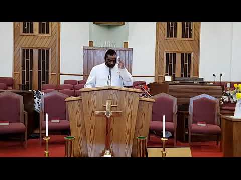 August 2, 2020 - What Shall We Do? - Psalm 11:1-7