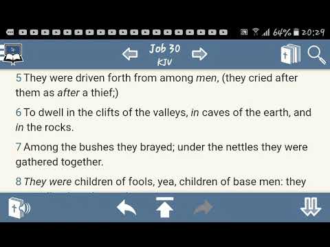 Job 30:5-8 THEY WERE VILER THAN THE EARTH !!!