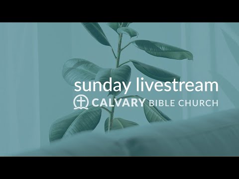 People of Faith in Godless Times | Mark 11:20-26