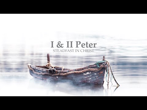 Submission in Specifics | 1 Peter 2:13-25 | May 8, 2022