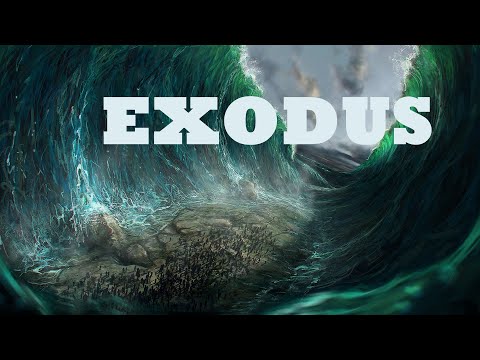 Exodus 49: Lidská důstojnost (Exodus 22:17-26)  18.3.2021  Roman Klusák