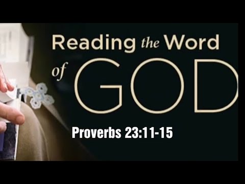 10.Dec.2020 Bible Reading, Proverbs 23:11-15
