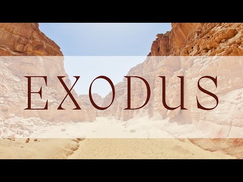 Exodus 2:11-3:22