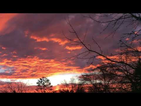 Coffee Break (5 Minutes with God)  Psalm 102:10-13