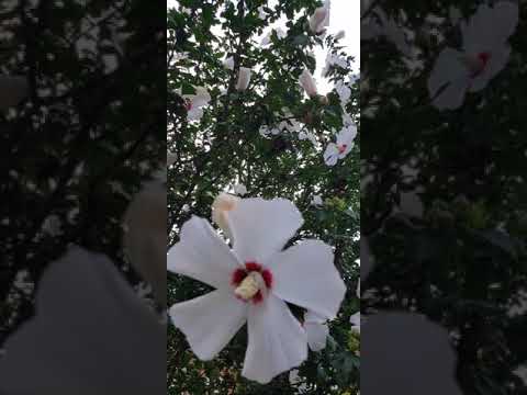 Matthew 11:6 (How happy are those who have no doubts about me)