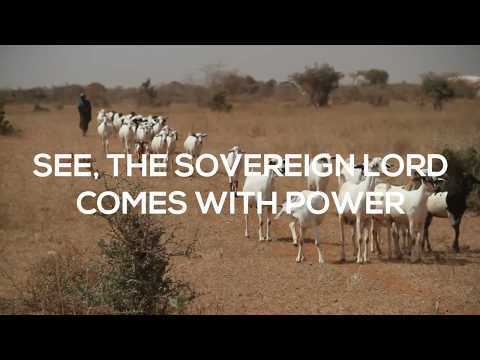 Advent 11: Shepherd (Isaiah 40:10-11)