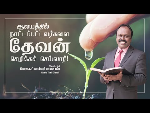 Weekly Blessings from Pastor Palmer and Susie Palmer - Psalm 92:13