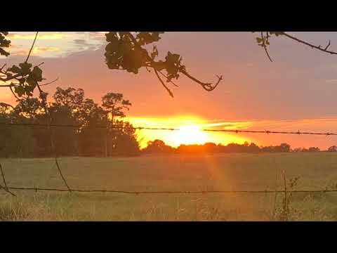 Coffee Break   (5 Minutes with God) Psalm 127:5-128:8