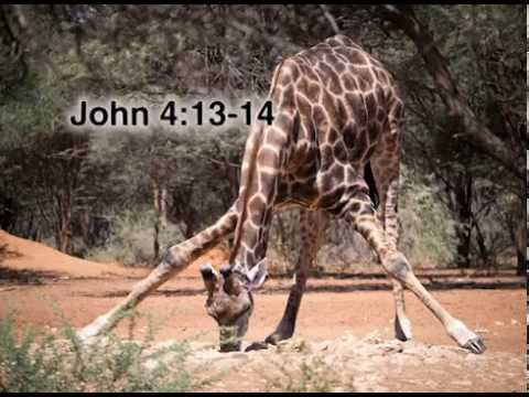 John 4:13-14