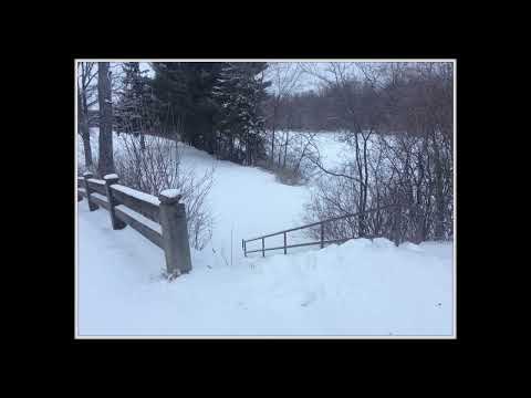 Coffee Break (5 Minutes with God) Psalm 38:6-11