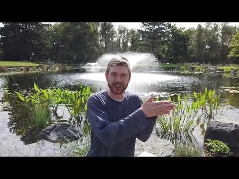 Have you been sealed? Ephesians 1:13