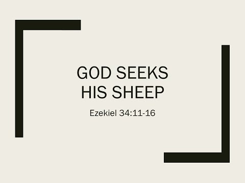 Sermon 11/22/2020 "God Seeks His Sheep" from Ezekiel 34:11-16