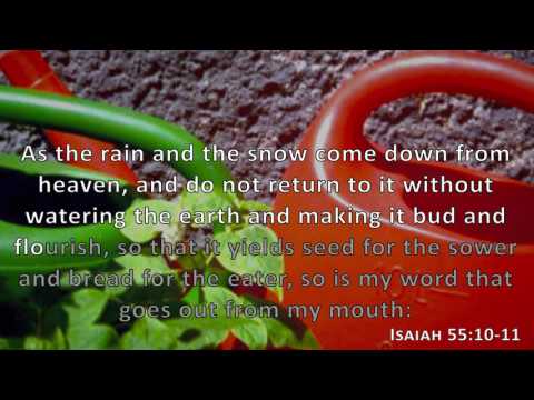 Isaiah 55:10-11, Holy Bible, NIV