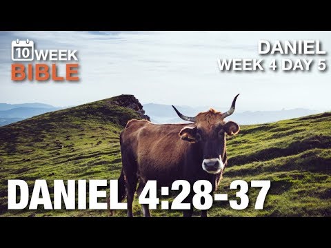 Nebuchadnezzar's Humbling | Daniel 4:28-37 | Week 4 Day 5 | Daily Devotional