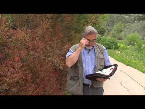 26. John the Baptist is Born - Luke 1:56-66