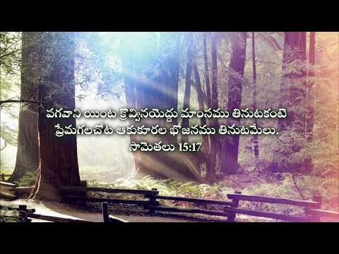 పగవాని యింట క్రొవ్వినయెద్దు మాంసము తినుటకంటె ప్రేమగలచోట ఆకుకూరల భోజనము తినుటమేలు. || Proverbs 15:17