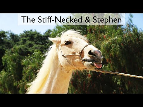 The Stiff-necked & Stephen (Acts 7:51-60) | John Bradshaw 10/10/21