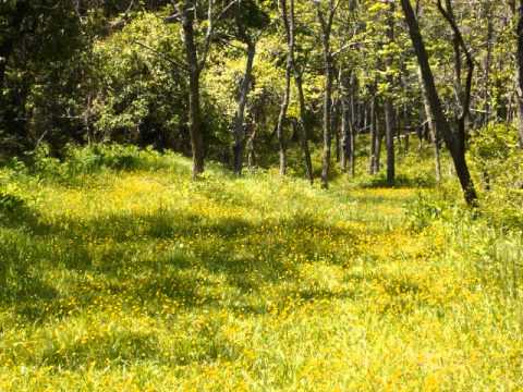 Psalm 123:1-4, Unto thee lift I up mine eyes (KJV)