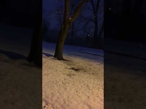 Matt. 24:20 Pray ye that your flight be in winter and neither on the sabbath day