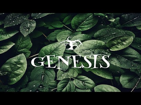 Genesis 25:19-35:29