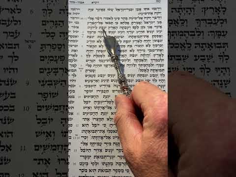 B'har, Leviticus 25:1-4