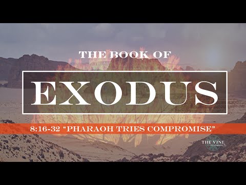 Exodus 8:16-32 "Pharaoh Tries Compromise"