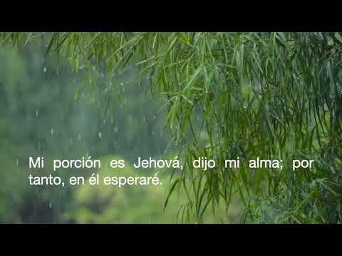 Lamentaciones Lamentations 3:24