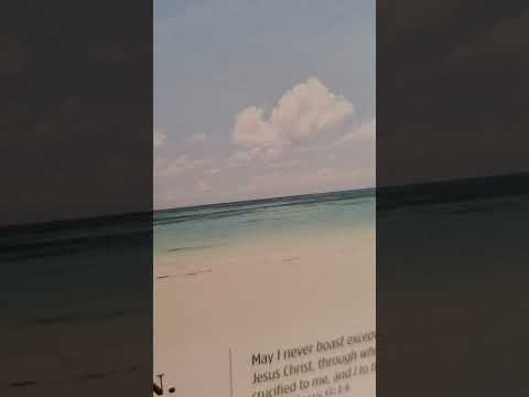 God commands Moses to take a census  numbers 1:1-46