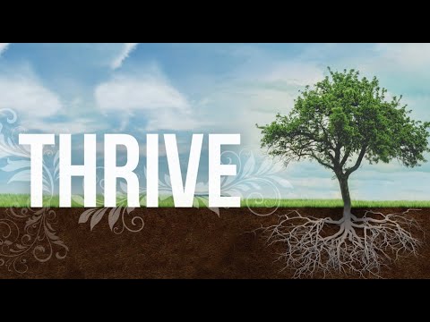 THRIVE: Rest - Andrea Cammarota - Exodus 20:8-11 - 6/6/2021