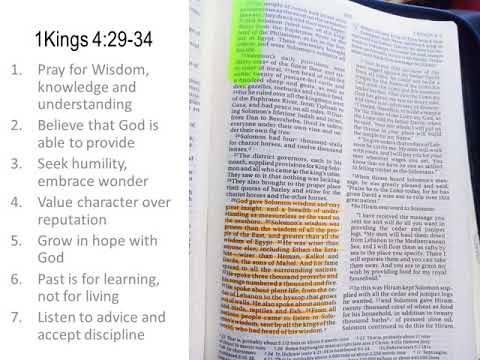 2-Minute  Reflection on Provision 1 Kings 4:29-34