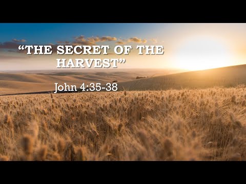 "The Secret of the Harvest" John 4:35-38