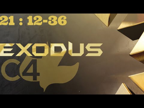 Exodus 21:12-36 // Laws Regarding Violence and Disability