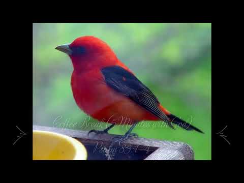 Coffee Break (5 Minutes with God) Psalm 83:1-4