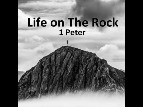 1 Peter 5:1-4 - Shepherd to Shepherd